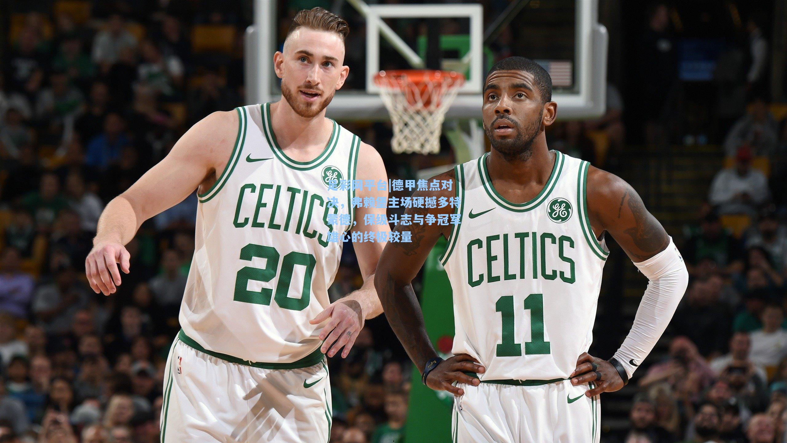 德甲焦点对决，弗赖堡主场硬撼多特蒙德，保级斗志与争冠军雄心的终极较量