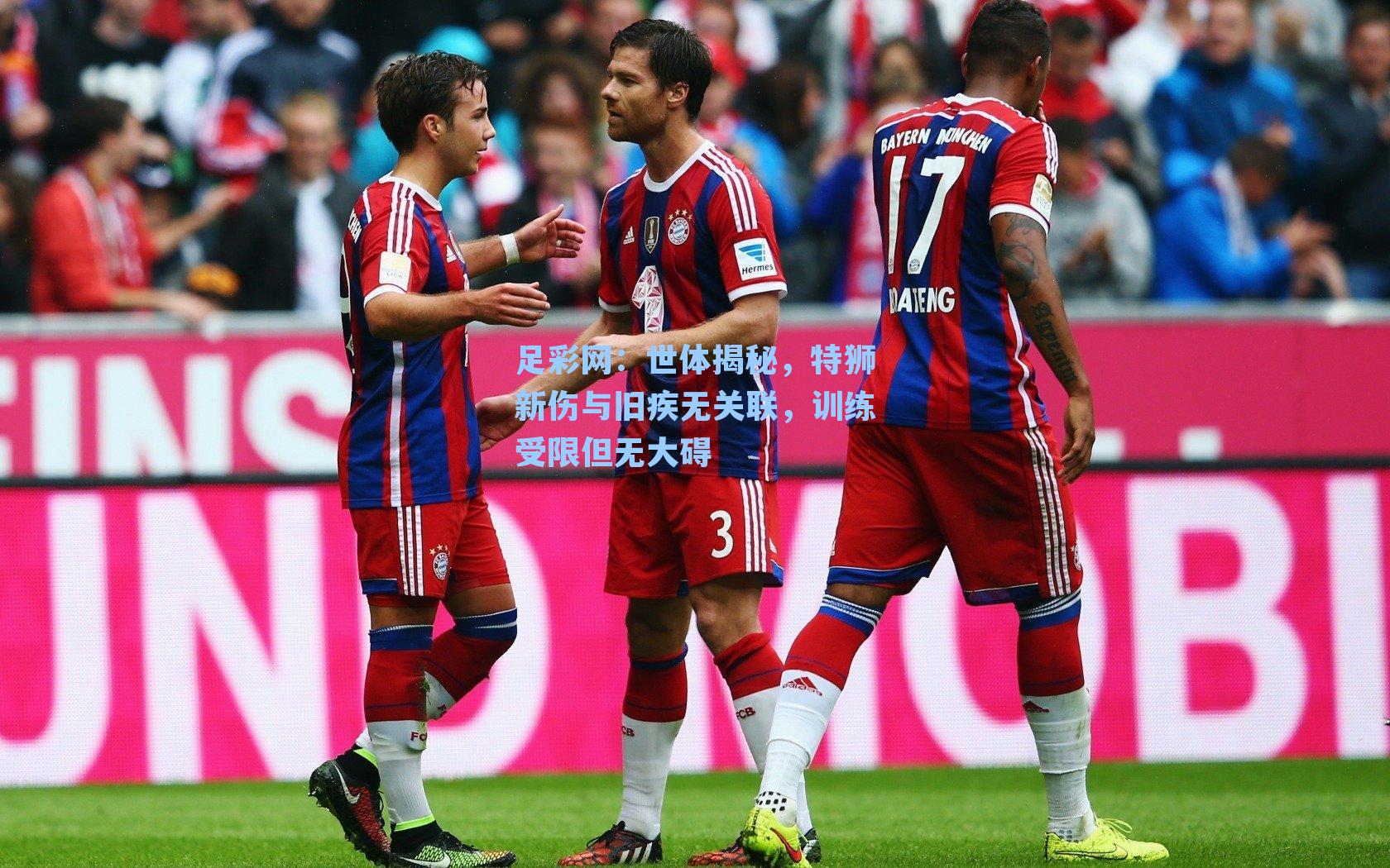 世体揭秘，特狮新伤与旧疾无关联，训练受限但无大碍